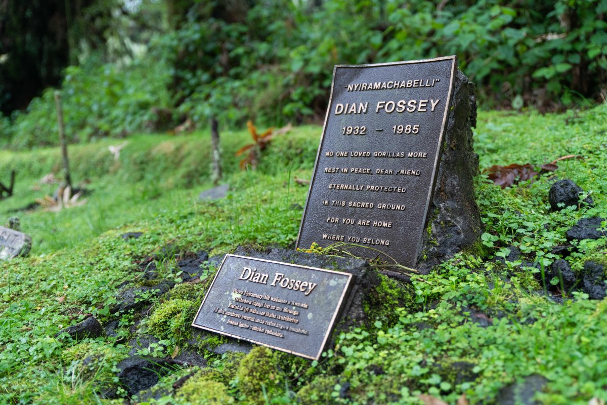 Dian Fossey