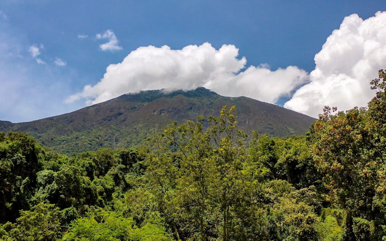 Mount Karisimbi Hike